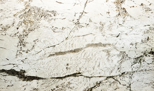 Carousel Feature image #2