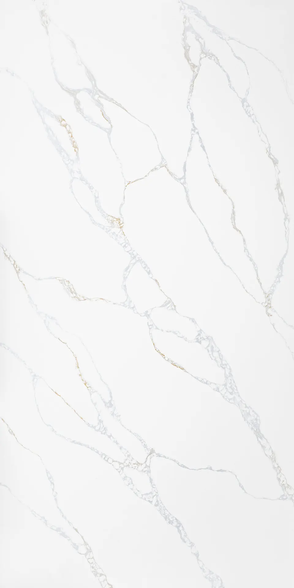 Carousel Feature image #5